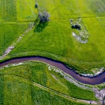 100 milionów złotych do podziału
